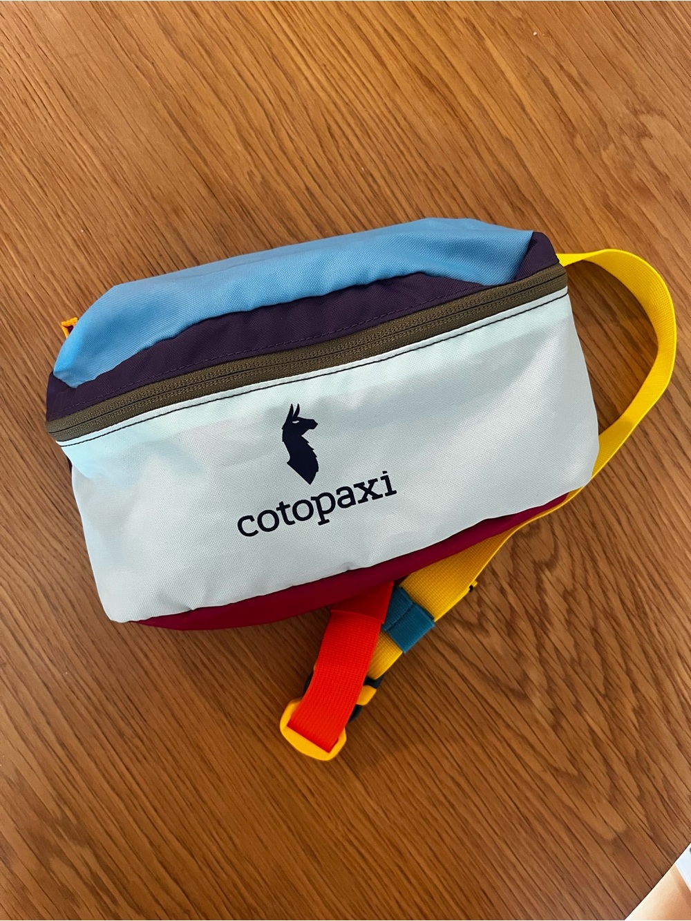 cotopaxi Colorblock Adjustable Bataan Hip Fanny Pack Belt Bag